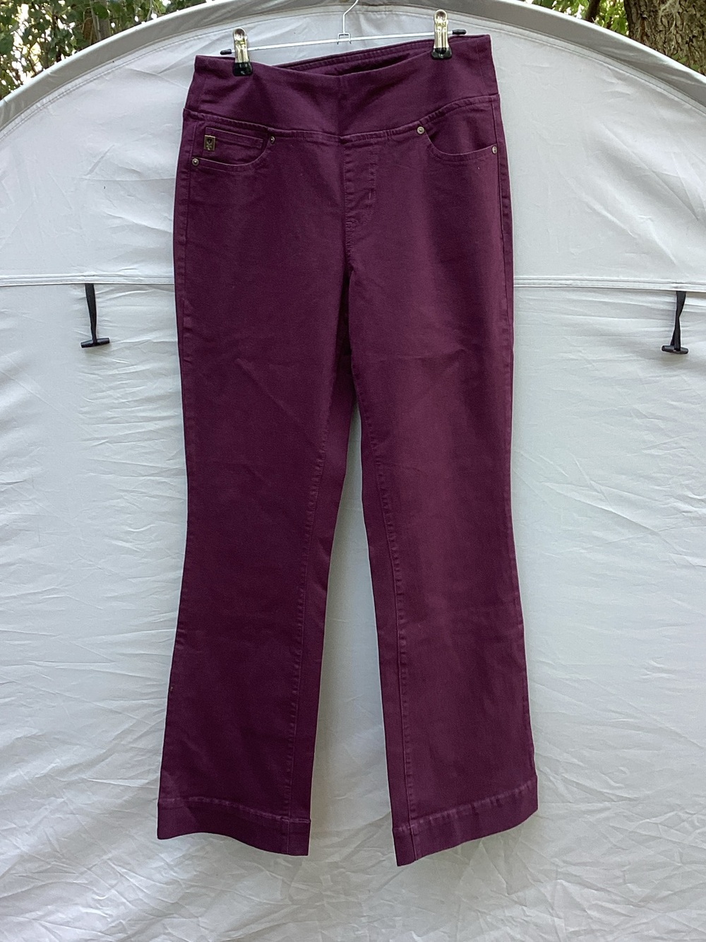 Belle by Kim Gravel Plum Bootcut Pull-On Pants